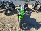 2024 Kawasaki EX650 P