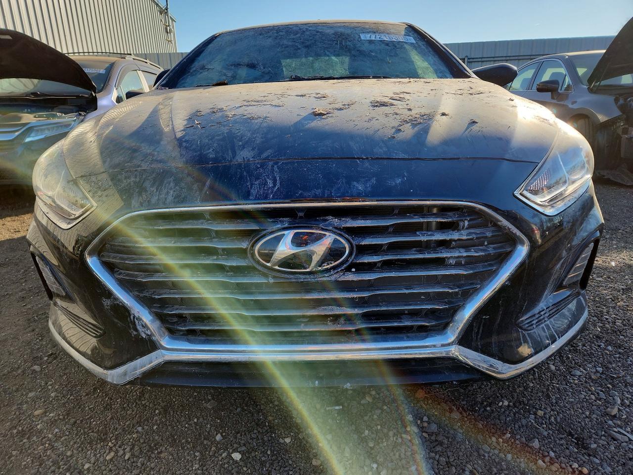 2019 Hyundai Sonata se