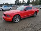2005 Ford Mustang
