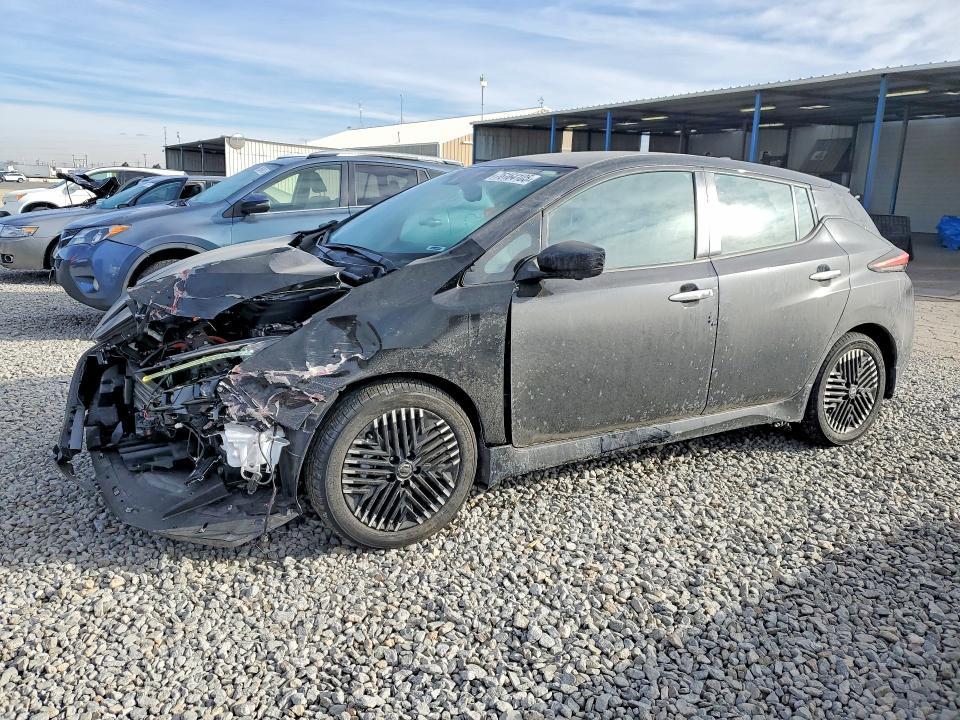 2025 Nissan Leaf sv Plus