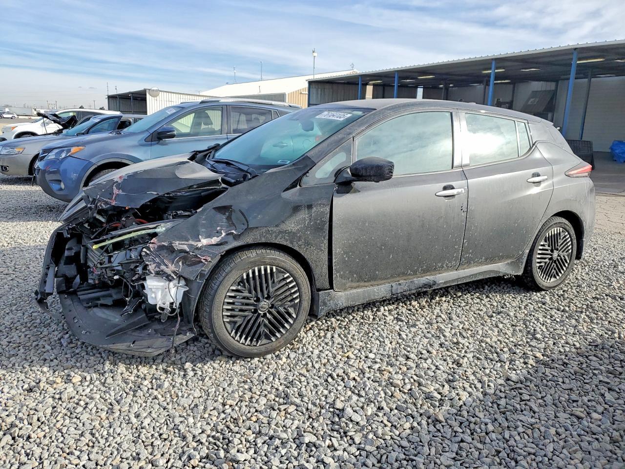 2025 Nissan Leaf sv Plus