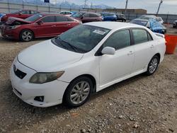 Toyota Corolla salvage cars for sale: 2010 Toyota Corolla s