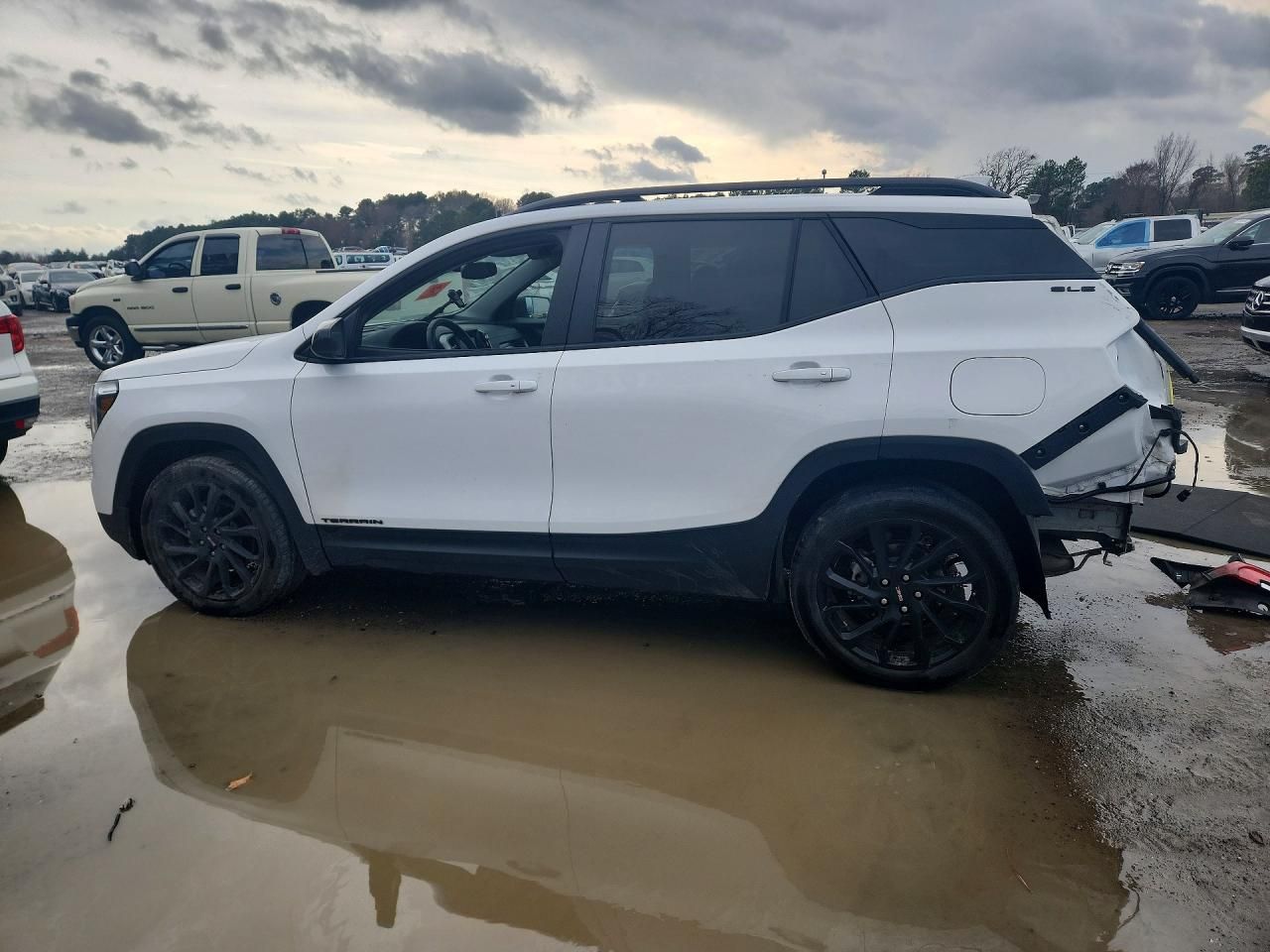 2024 GMC Terrain sle