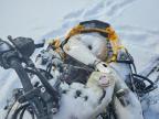 2025 Skidoo Adrenaline