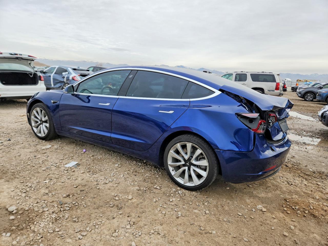 2019 Tesla Model 3