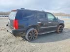 2008 Cadillac Escalade Luxury