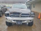 2002 Dodge Dakota Quad SLT
