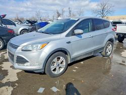 Vehiculos salvage en venta de Copart Bridgeton, MO: 2013 Ford Escape se