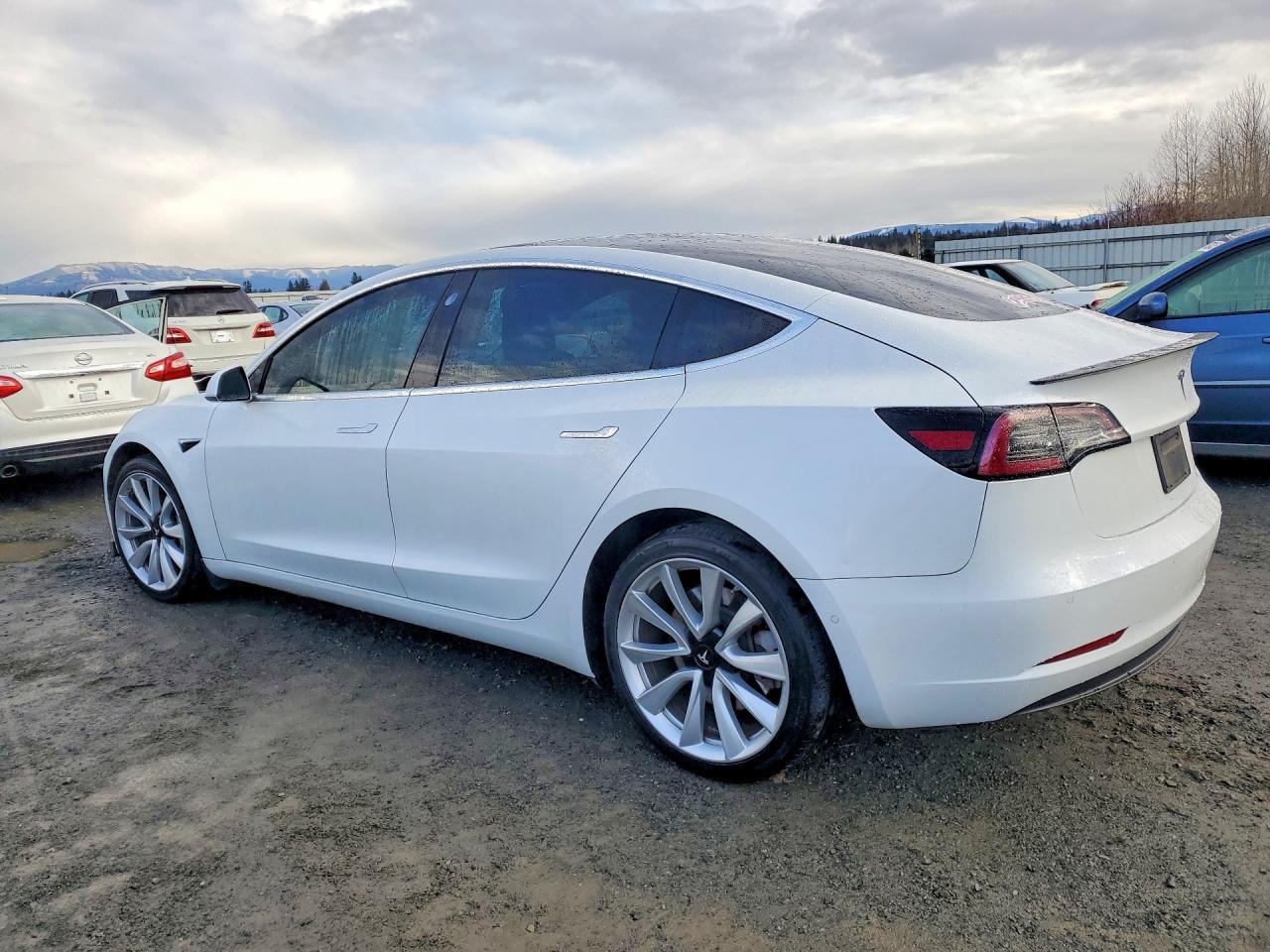 2019 Tesla Model 3