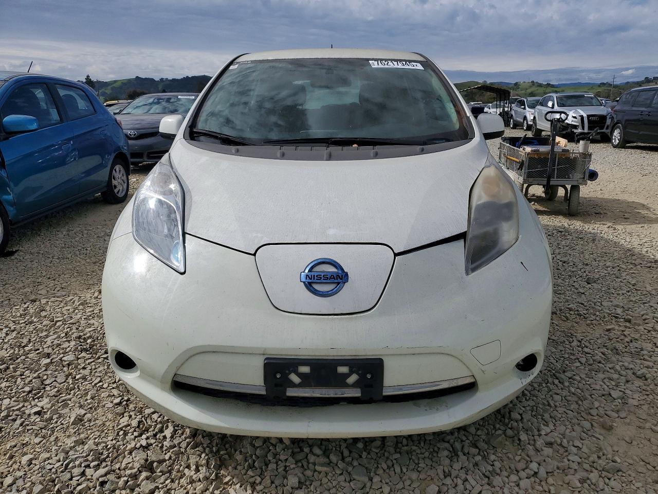 2016 Niss Leaf S-24