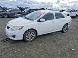 2010 Toyota Corolla Base en venta en Antelope, CA