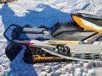 2019 Skidoo Renegade