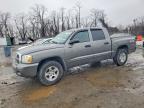 2005 Dodge Dakota Quad slt