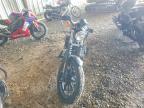 2021 Harley-Davidson XL883 N