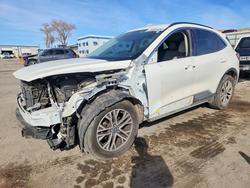 2022 Ford Escape sel en venta en Albuquerque, NM