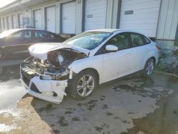 Ford Focus salvage cars for sale: 2012 Ford Focus se