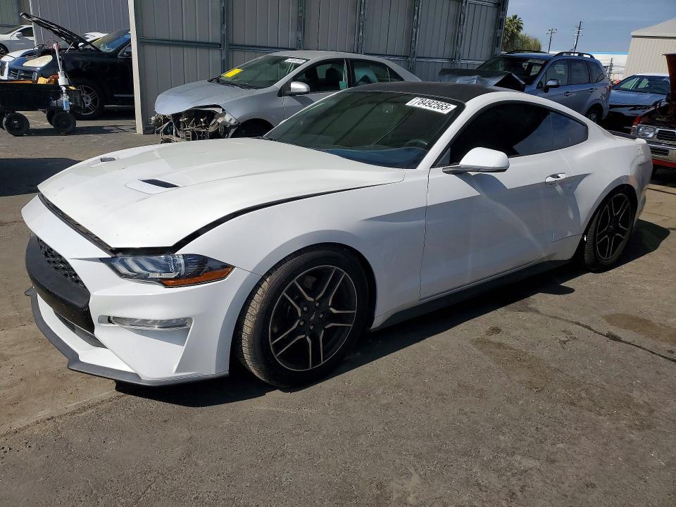 2019 Ford Mustang