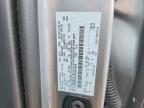 2024 Ford F150 STX