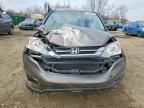 2010 Honda Cr-v lx
