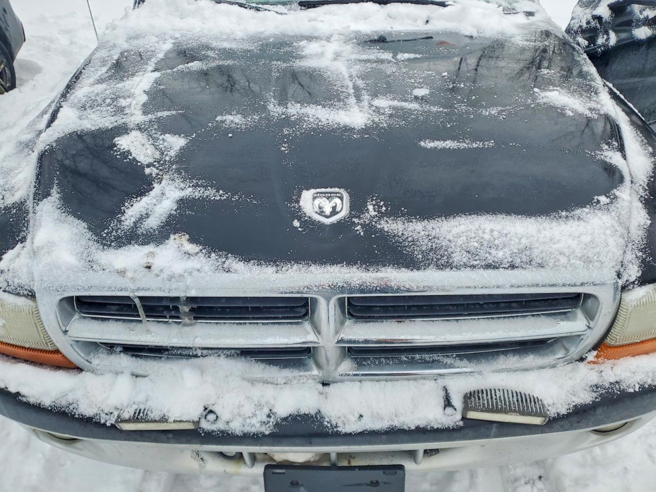 2004 Dodge Dakota Sport