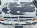 2004 Dodge Dakota Sport