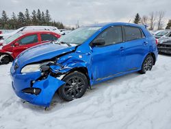 Toyota Corolla salvage cars for sale: 2010 Toyota Corolla Matrix
