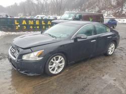 2012 Niss Maxima en venta en Marlboro, NY