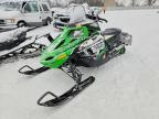 2010 Other Snowmobile