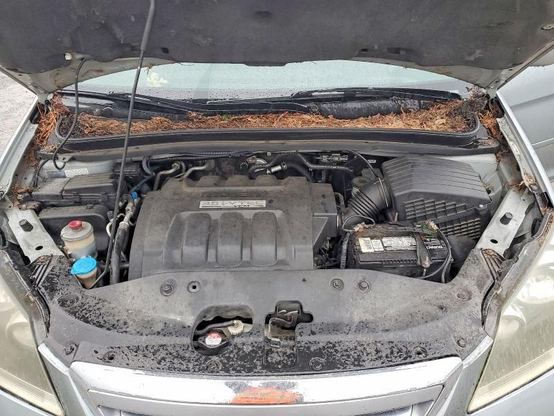 2005 Honda Odyssey exl