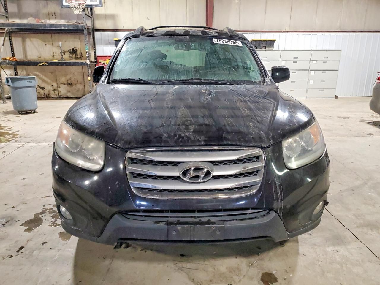 2012 Hyundai Santa fe se