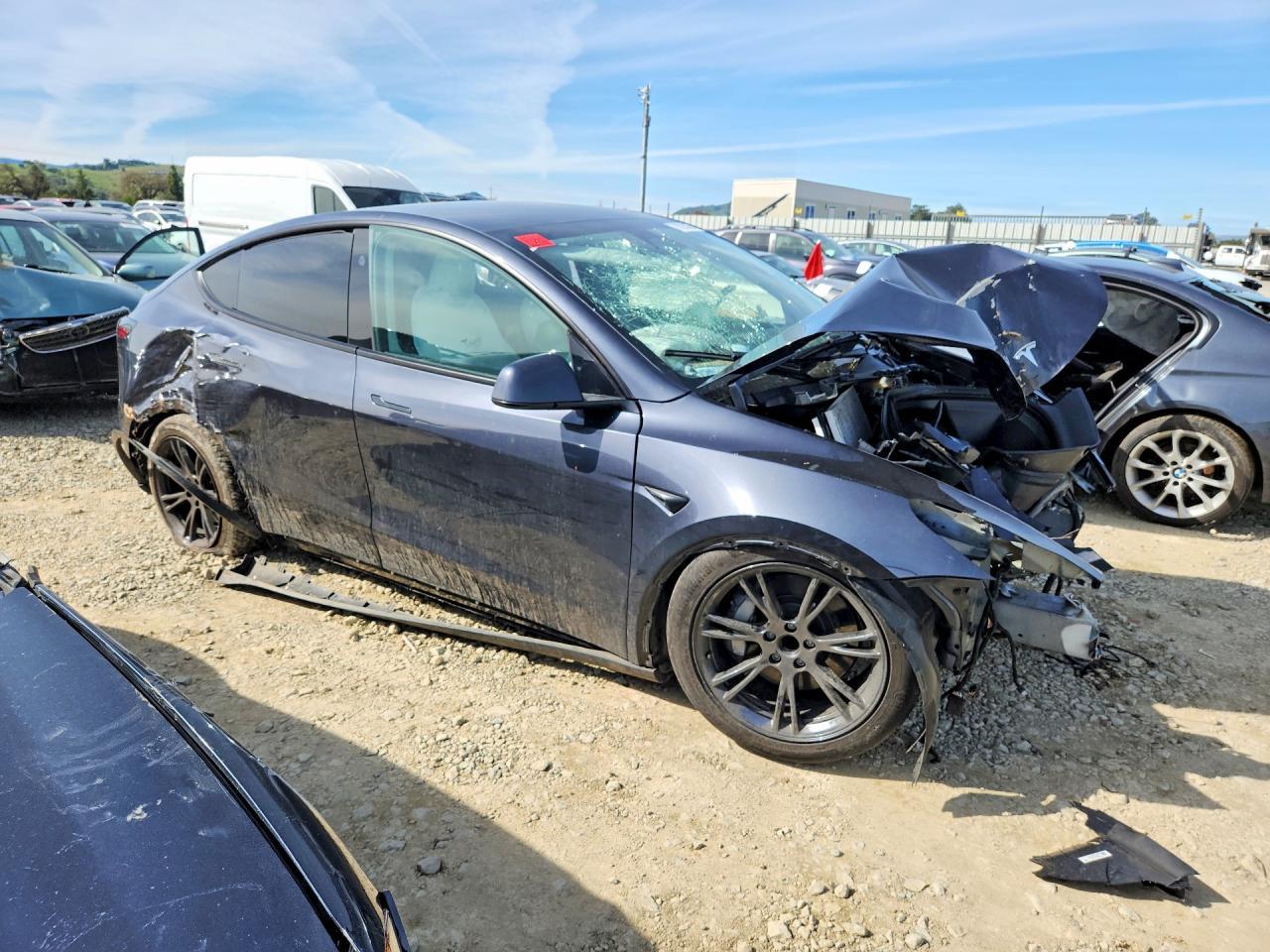 2025 Tesla Model y