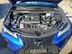 2025 Lexus Ux 300h Base