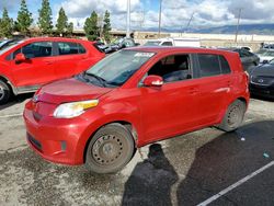 Scion salvage cars for sale: 2011 Scion XD