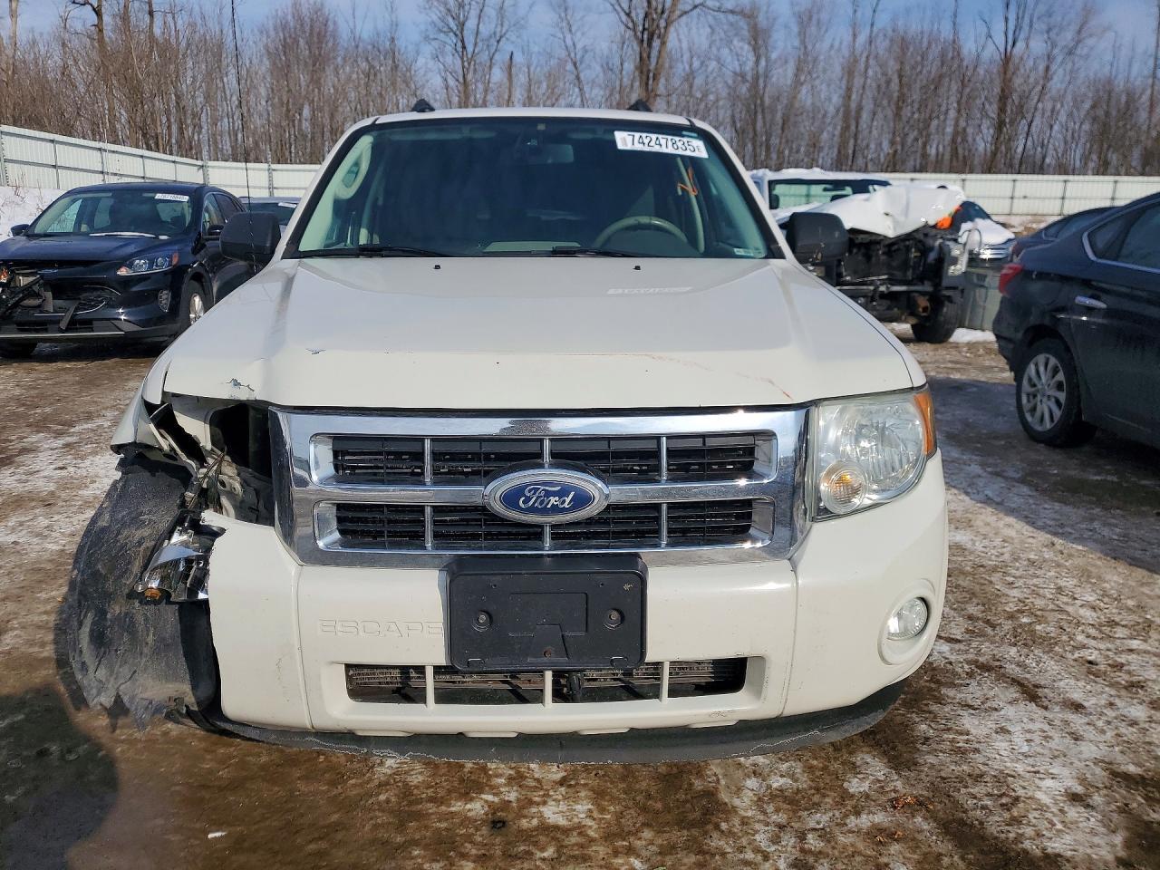 2010 Ford Escape xlt