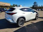 2025 Lexus Nx 350h Base