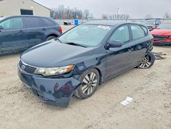 2013 KIA Forte ex en venta en Lawrenceburg, KY