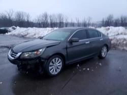 Honda salvage cars for sale: 2013 Honda Accord exl