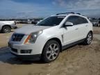2011 Cadillac Srx Premium Collection