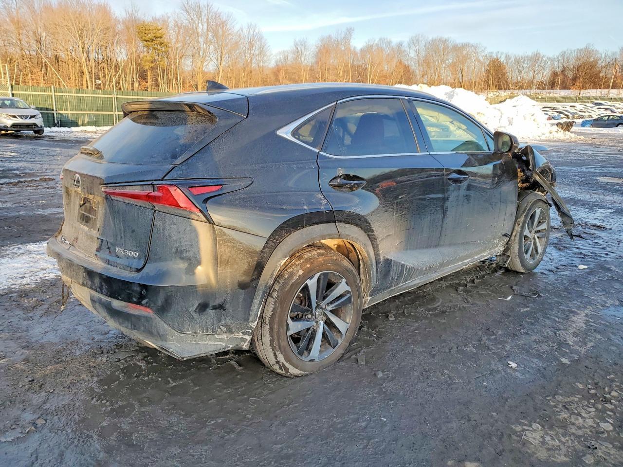 2021 Lexus NX