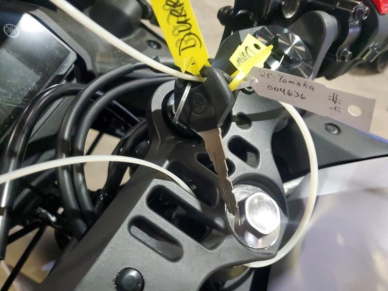 2025 Yamaha YFZ320 A