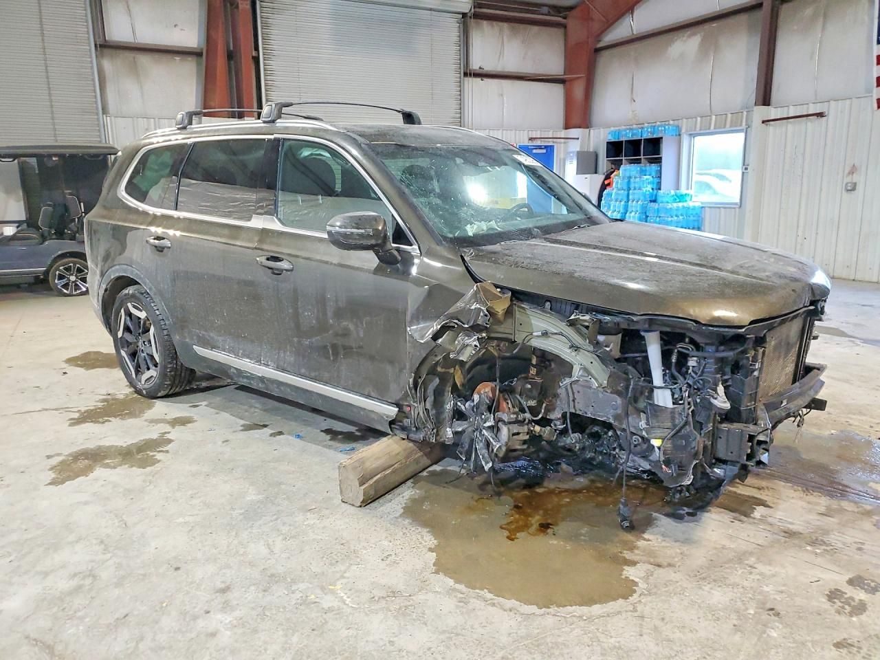 2023 KIA Telluride ex