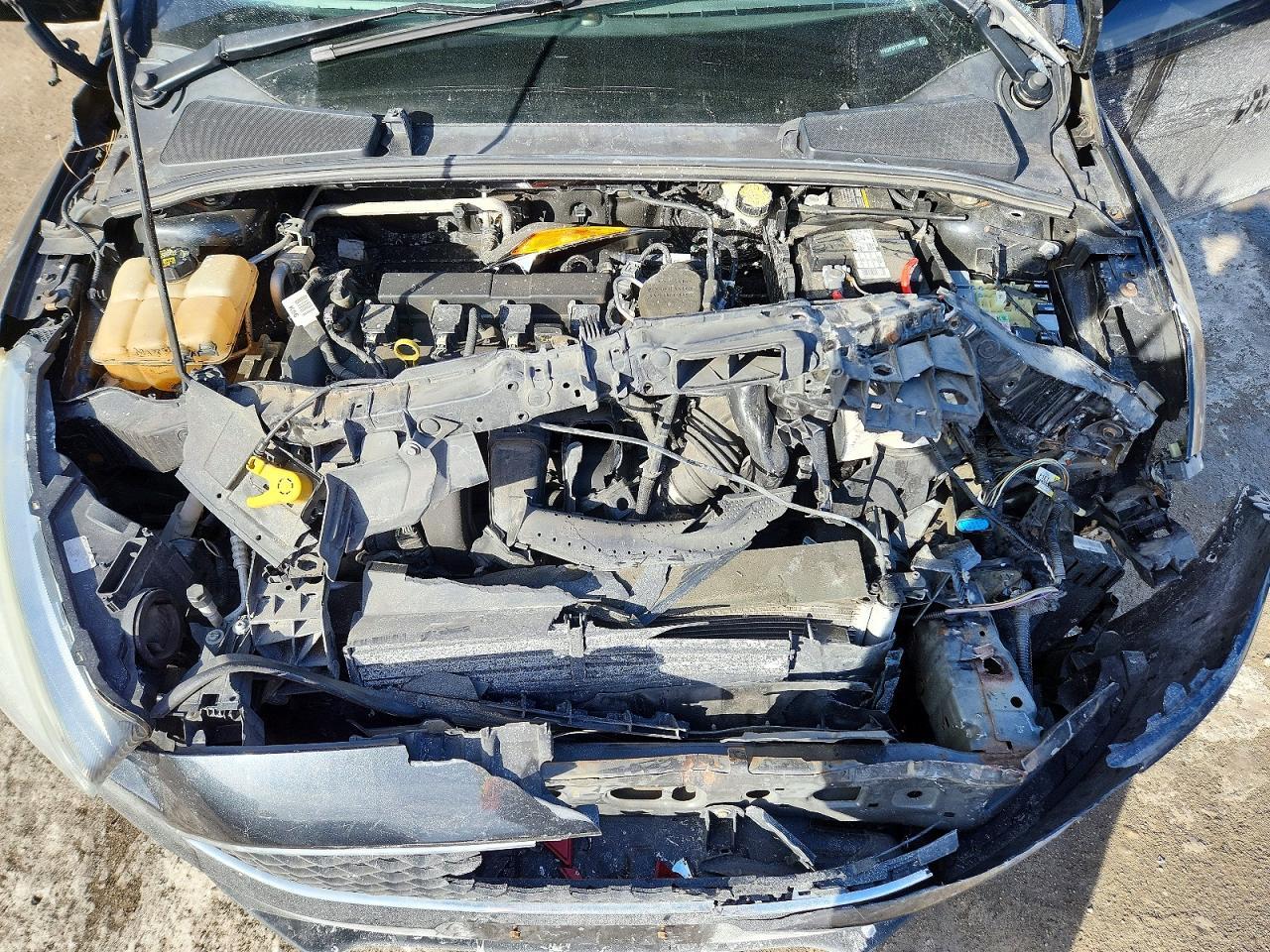2015 Ford Focus se