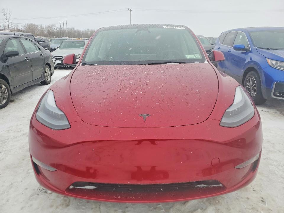 2025 Tesla Model y