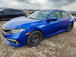 2019 Honda Civic lx for sale in Houston, TX