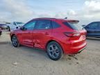 2024 Ford Escape st Line