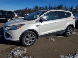 Ford Escape salvage cars for sale: 2013 Ford Escape sel