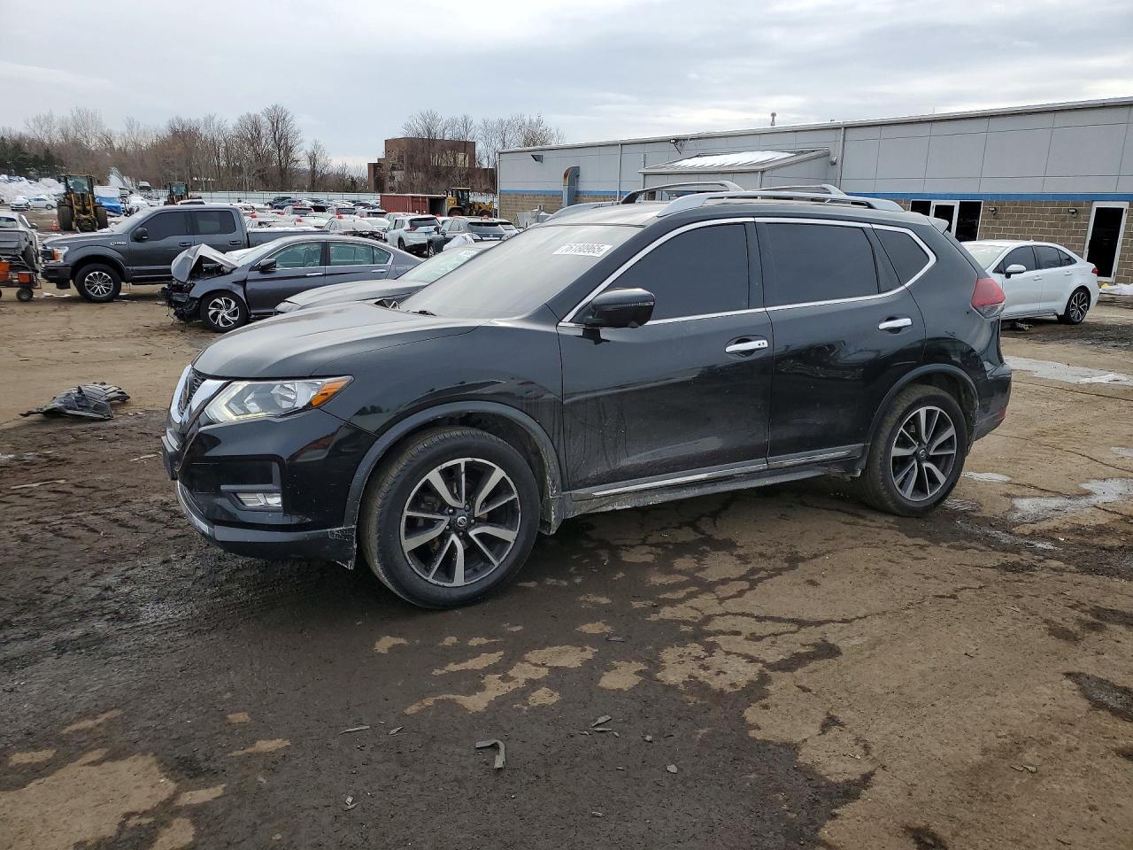 2019 Niss Rogue sl