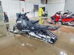 2025 Arctic Cat Arctic Cat