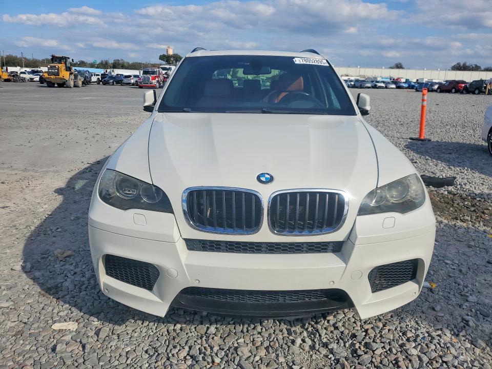 2010 BMW X5 m