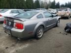 2009 Ford Mustang Shelby Gt500